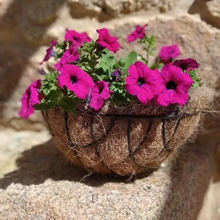 펜션 A Casina Do Pozo Crucero